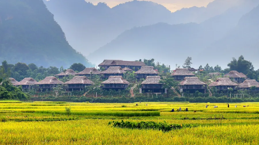 Vietnam Travel Guide for First-Time Visitors (2026 Edition) Where to stay in Vietnam hotels and homestays